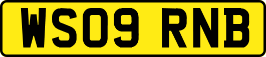 WS09RNB