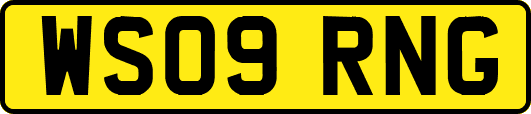 WS09RNG