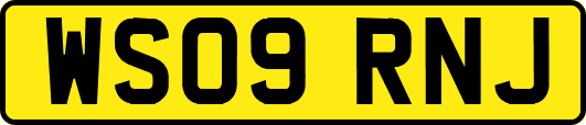 WS09RNJ