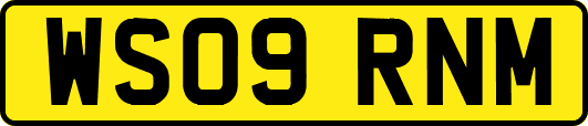 WS09RNM