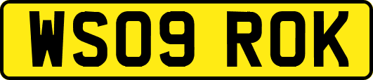 WS09ROK