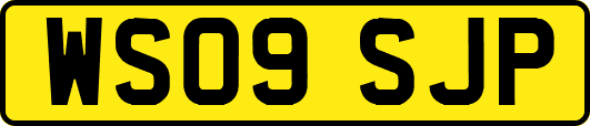 WS09SJP