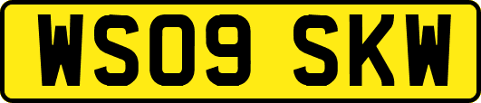 WS09SKW