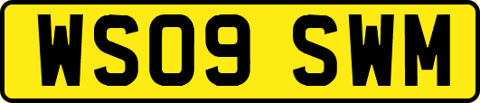 WS09SWM
