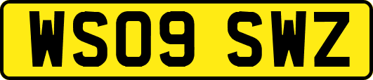 WS09SWZ