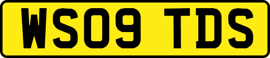 WS09TDS