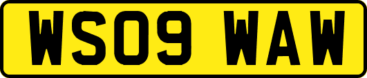 WS09WAW