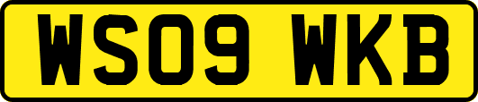 WS09WKB