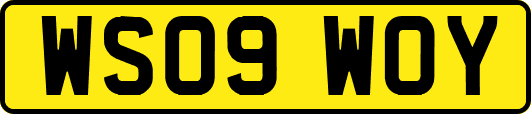 WS09WOY