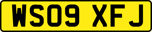 WS09XFJ