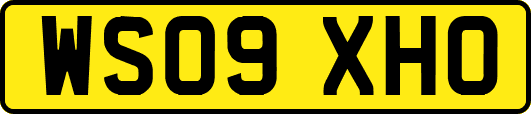 WS09XHO