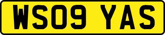 WS09YAS