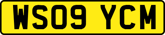 WS09YCM