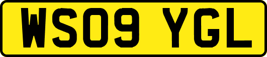 WS09YGL