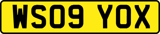 WS09YOX