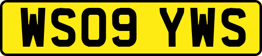 WS09YWS