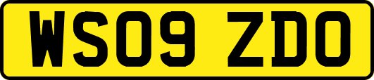 WS09ZDO
