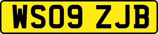 WS09ZJB