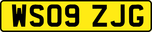 WS09ZJG