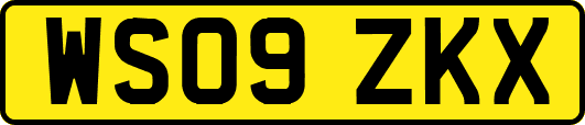WS09ZKX