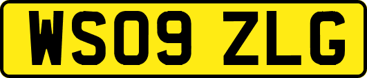WS09ZLG