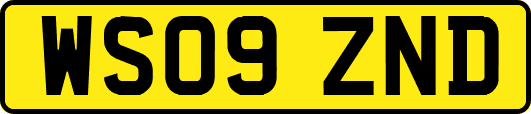 WS09ZND