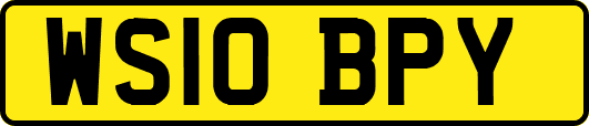 WS10BPY