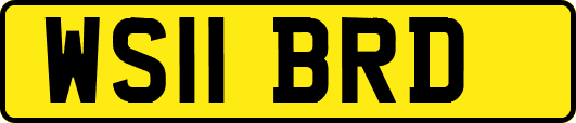 WS11BRD