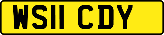 WS11CDY