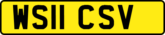 WS11CSV