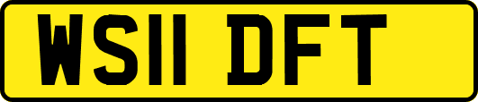 WS11DFT