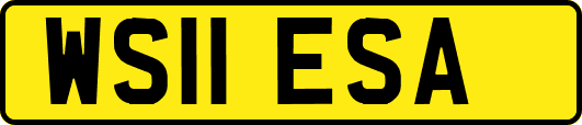 WS11ESA