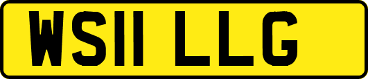 WS11LLG