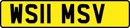 WS11MSV