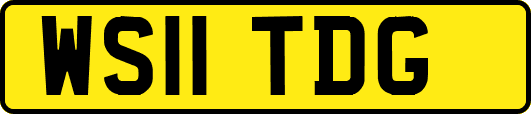 WS11TDG