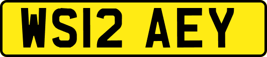 WS12AEY