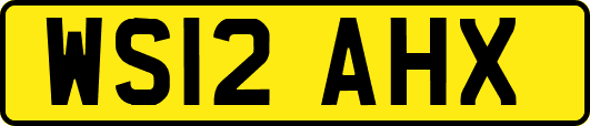 WS12AHX