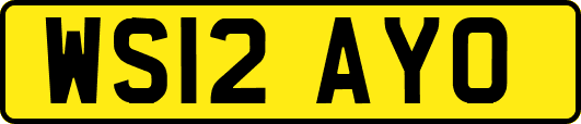 WS12AYO