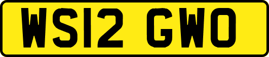 WS12GWO