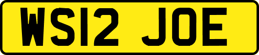 WS12JOE