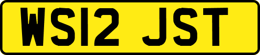 WS12JST