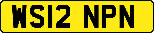 WS12NPN