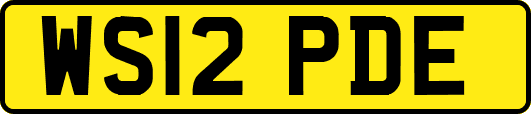 WS12PDE