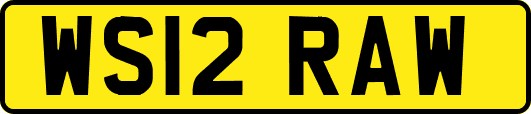 WS12RAW