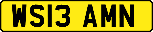 WS13AMN