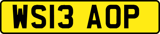 WS13AOP
