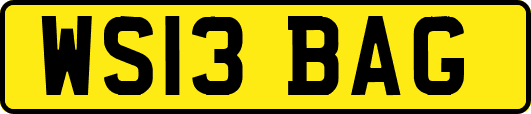 WS13BAG