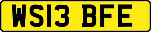 WS13BFE