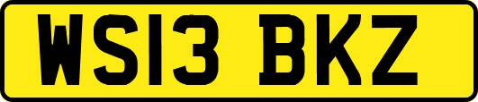 WS13BKZ