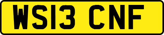 WS13CNF